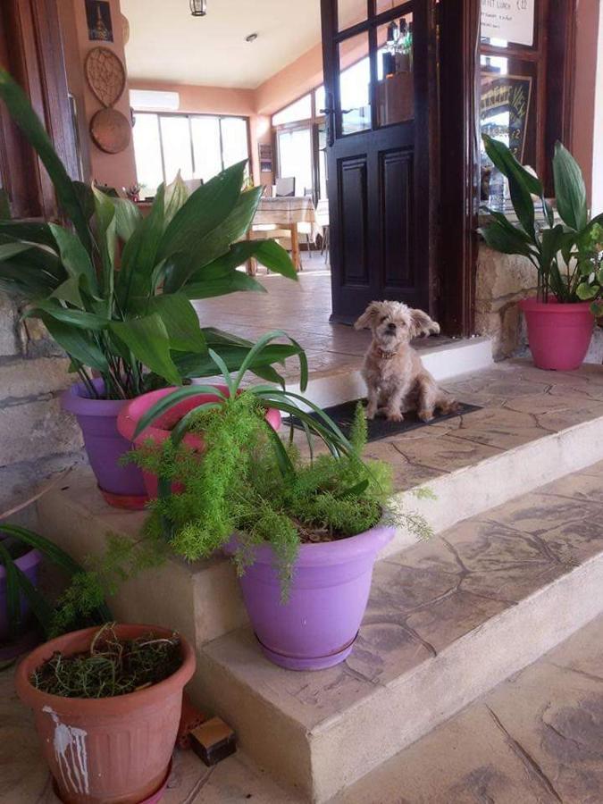 Extreme View Cafe And Rooms To Let Prastio  Ngoại thất bức ảnh